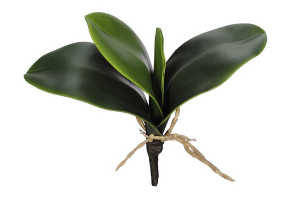 Folha de orquídea artificial (23cm)