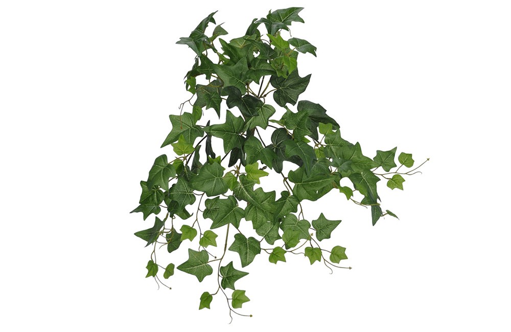Hera Real Toque Verde (50 cm)