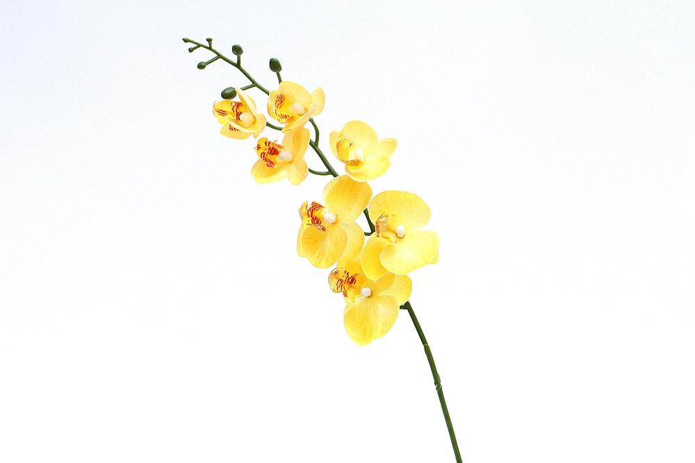 Haste mini orquídea artificial Amarela