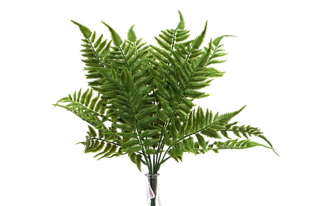 Galho Samambaia (46cm)
