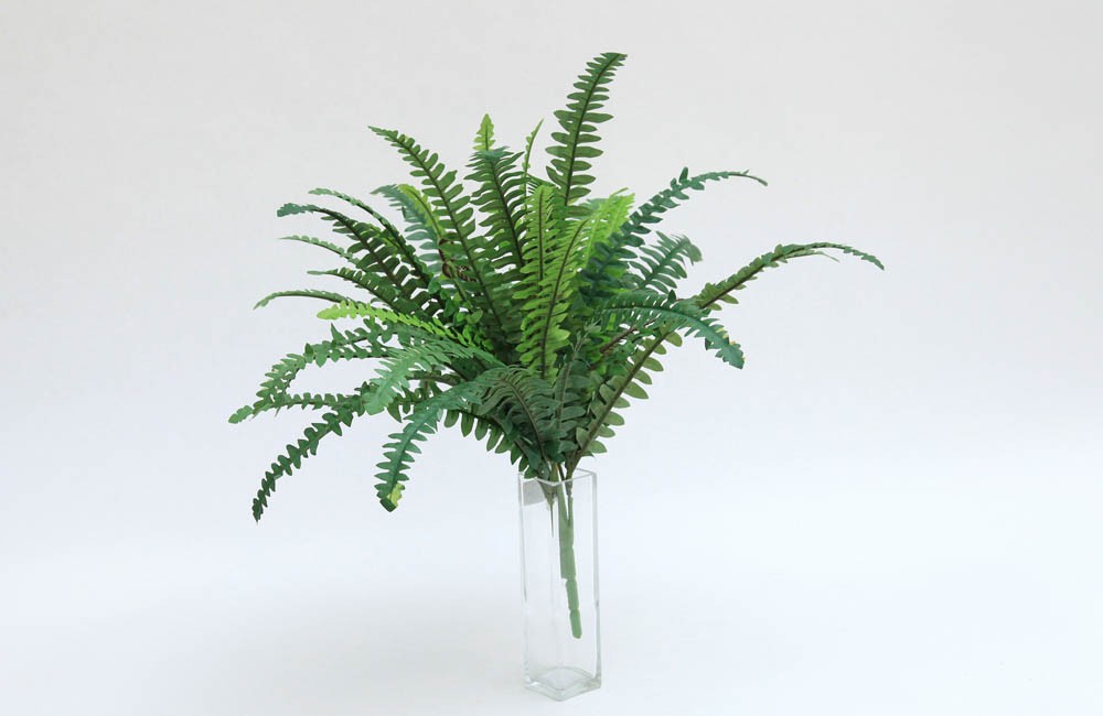 Samambaia Artificial (56cm)
